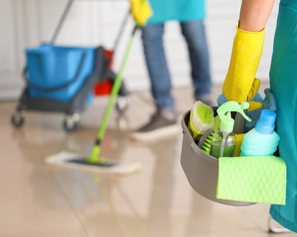 Contactar con Alosa en Viveiro