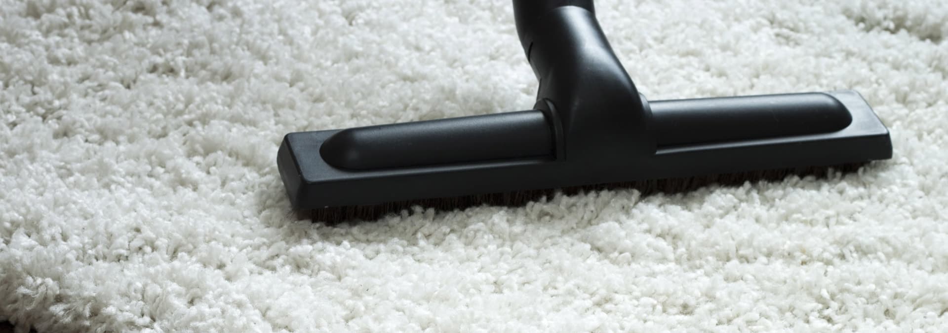 ¿Qué servicio de limpieza necesita?